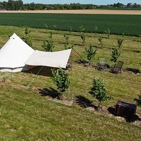 Luxury tent Glamping Au Verger De La Marsale Hannut