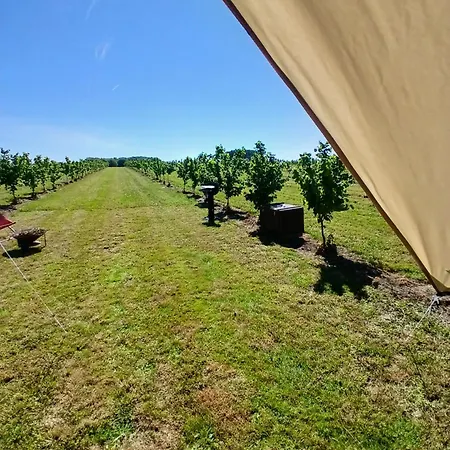 Glamping Au Verger De La Marsale Luxury tent Hannut